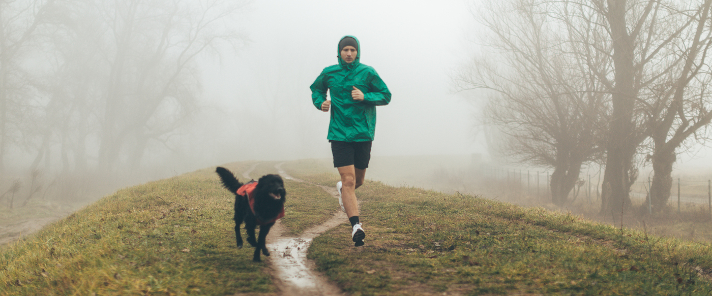 Photo of active young man jogging with his dog in a foggy morning...