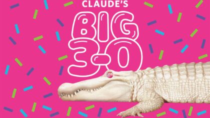 Claude's Hatchday Celebration...