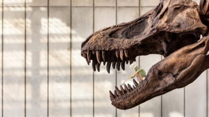 California Academy of Sciences...